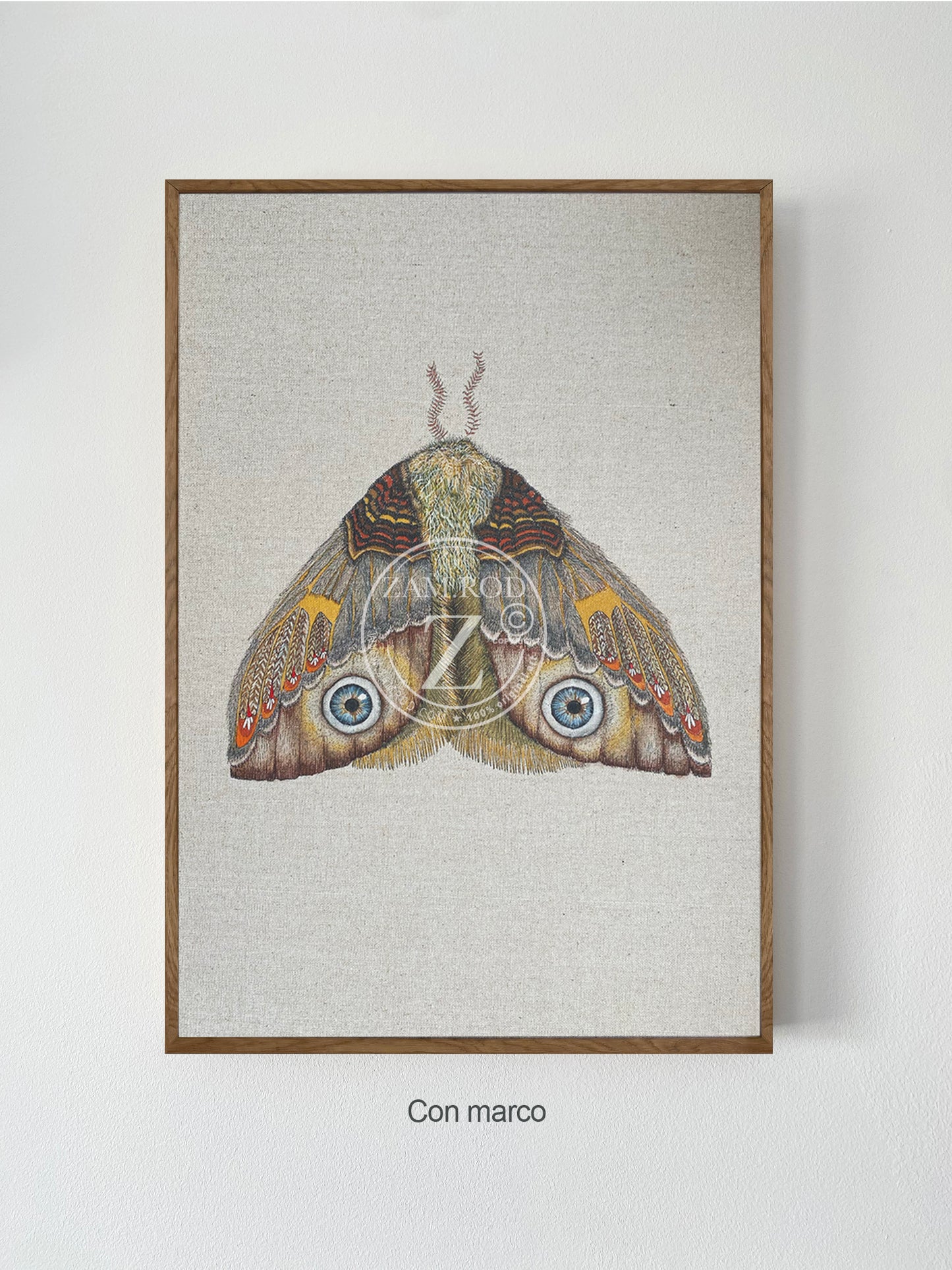 ZRMoth11 PRINT