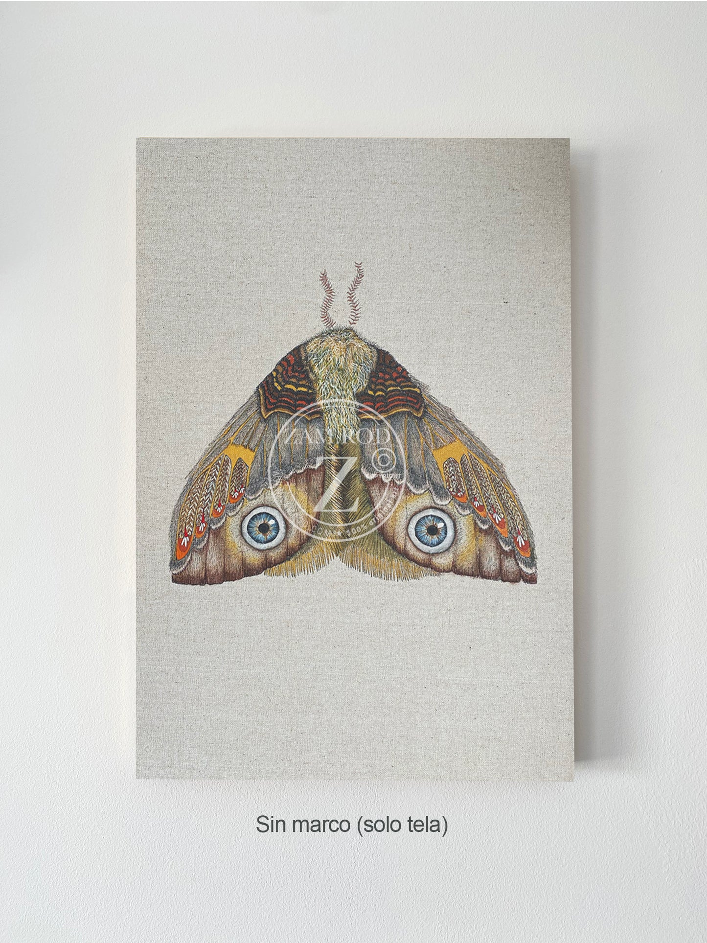 ZRMoth11 PRINT