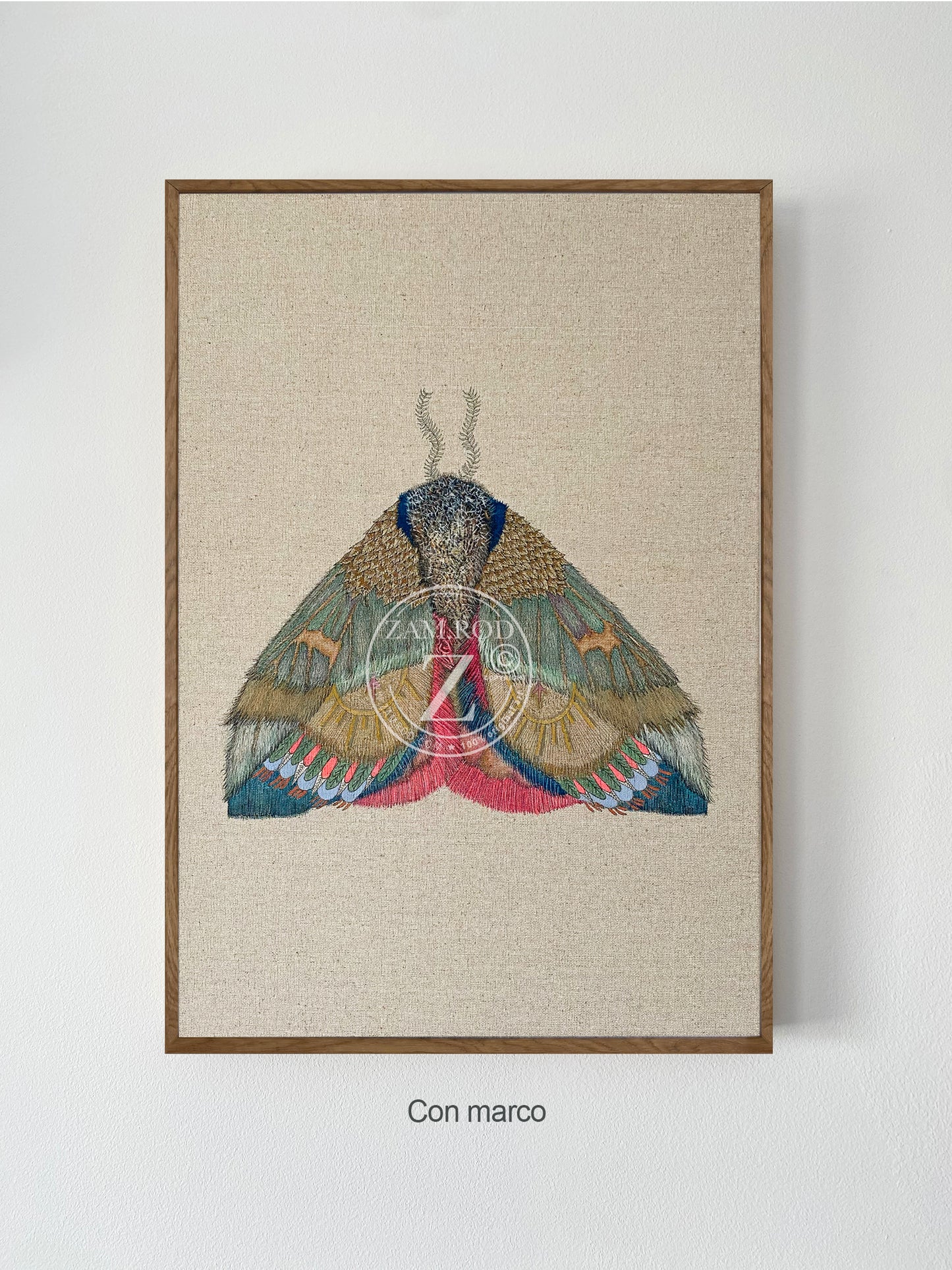 ZRMoth13 PRINT