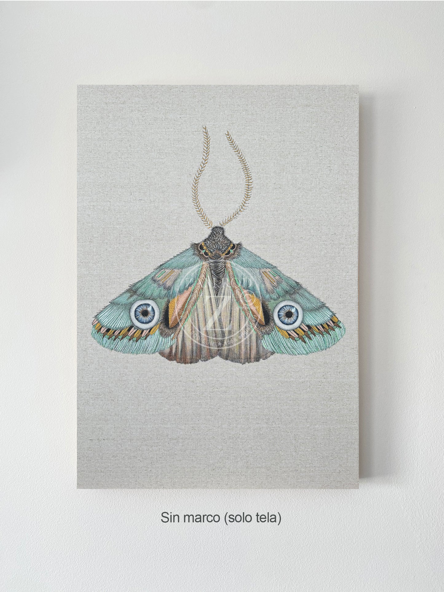 ZRMoth14 PRINT