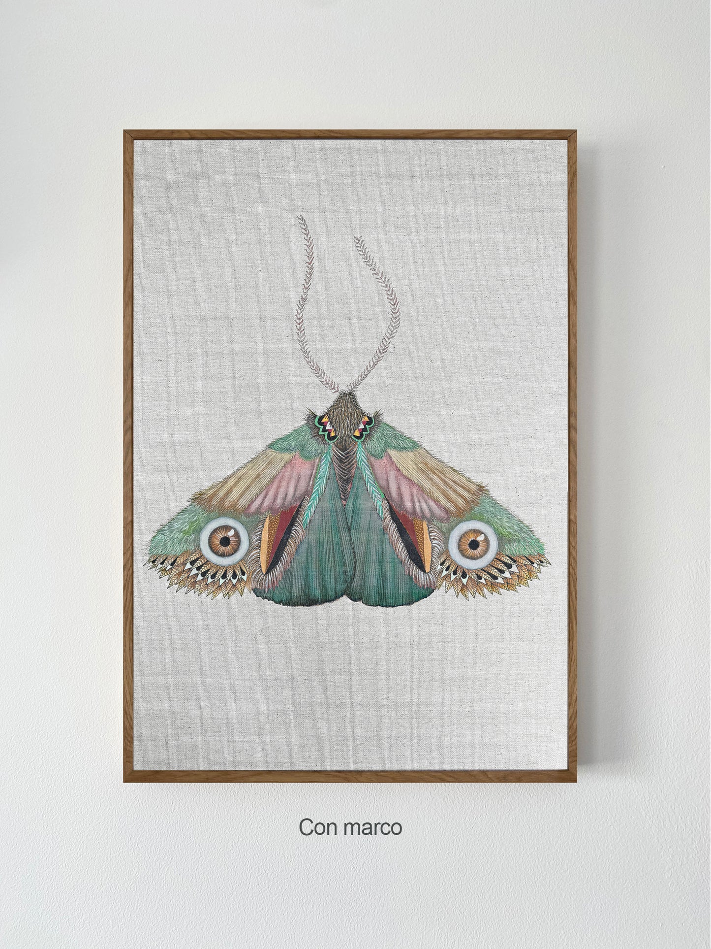 ZRMoth15 PRINT
