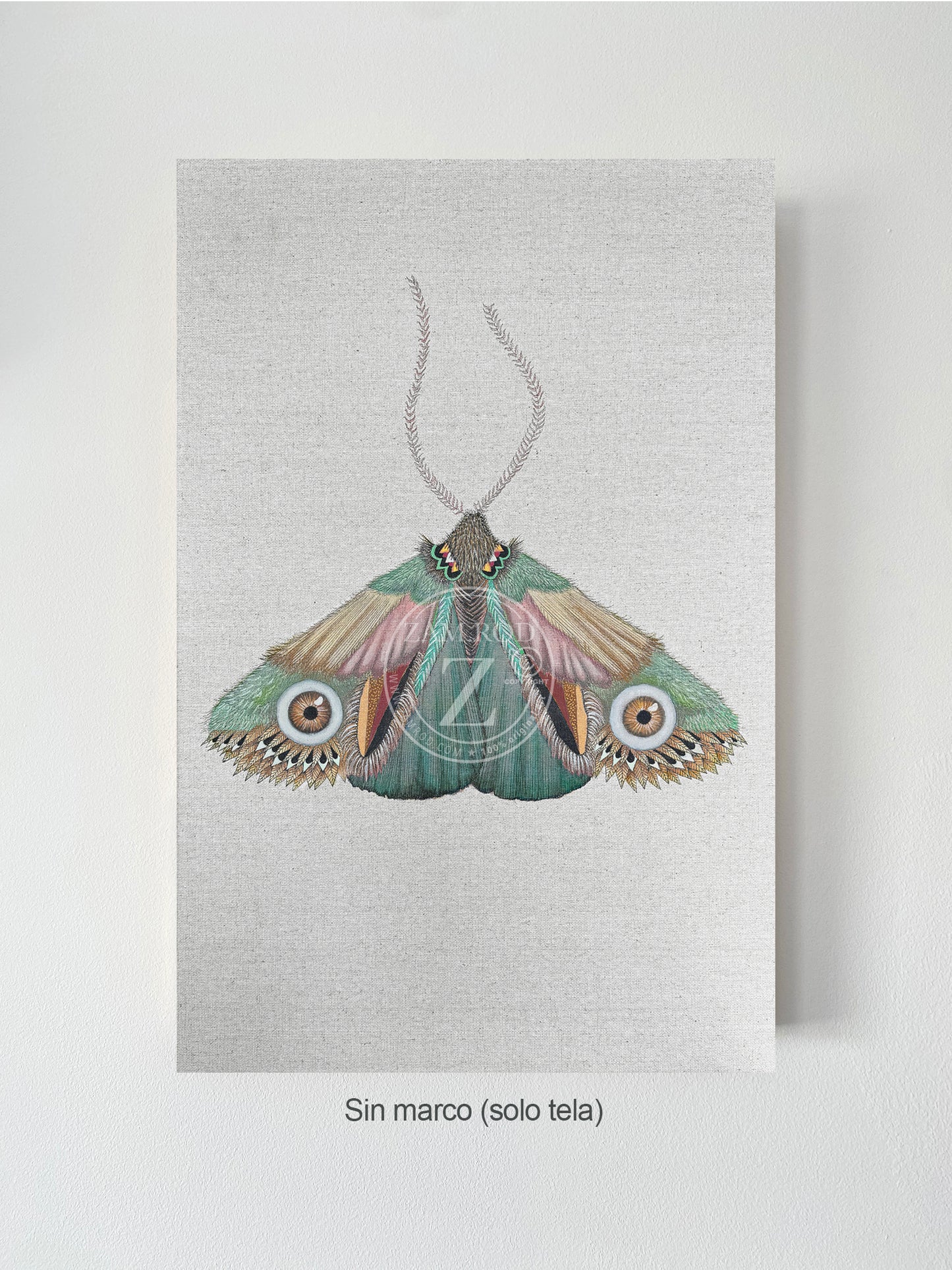 ZRMoth15 PRINT