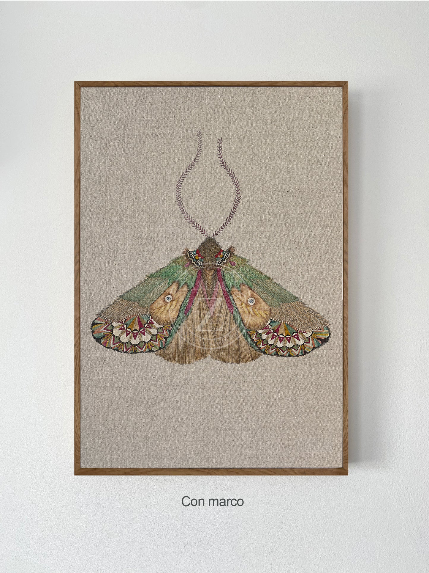ZRMoth16 PRINT