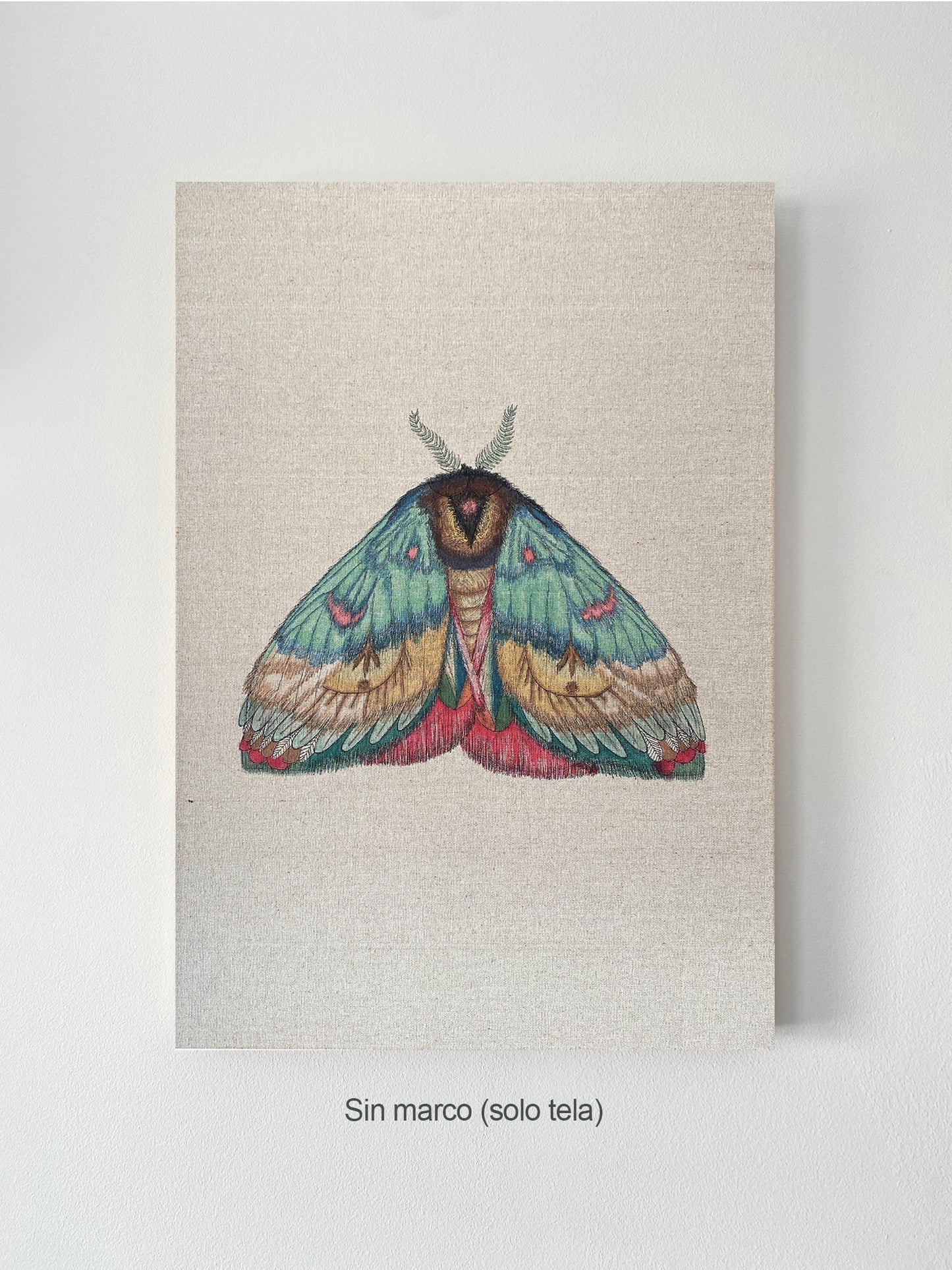 ZRMoth17 PRINT