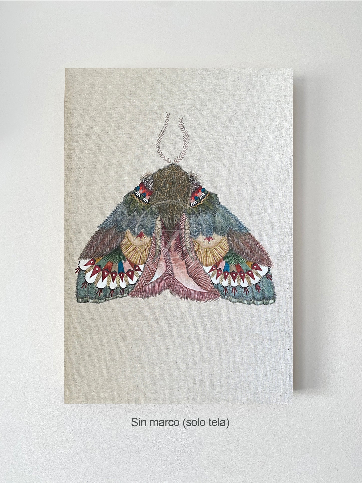 ZRMoth19 PRINT