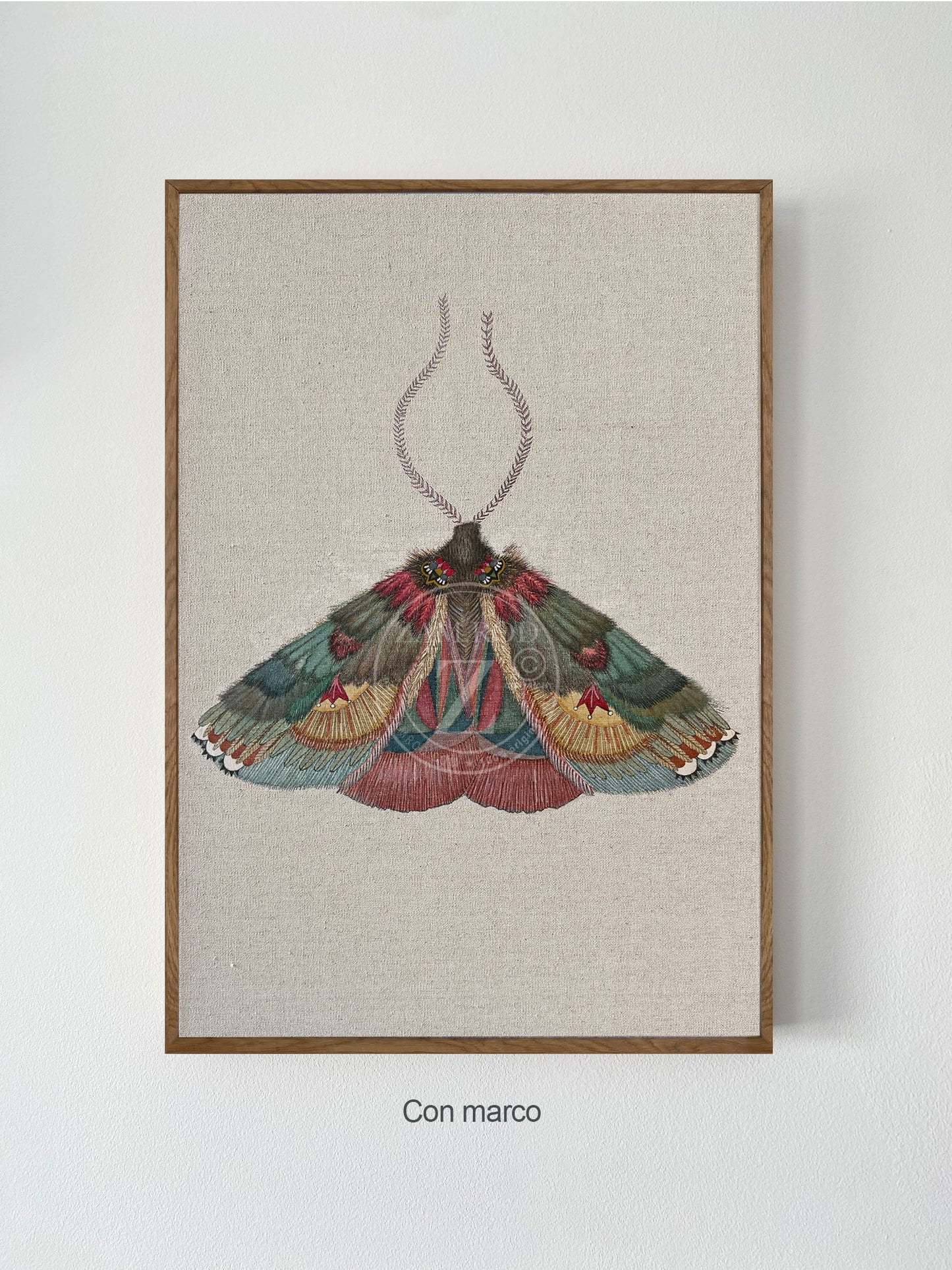ZRMoth20 PRINT