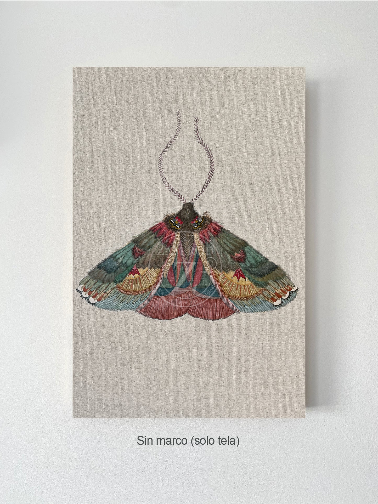 ZRMoth20 PRINT