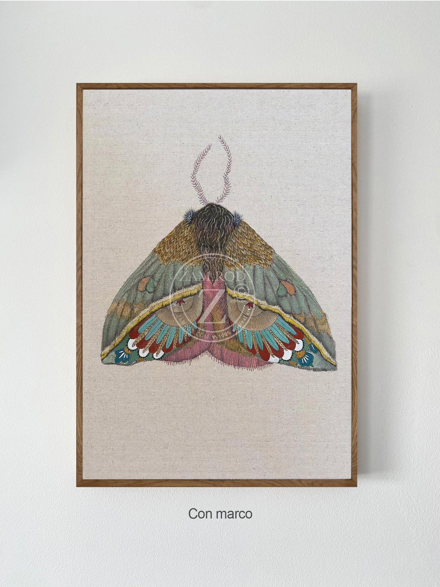 ZRMoth22 PRINT