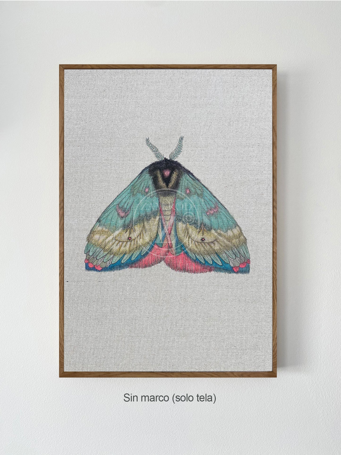 ZRMoth2 PRINT