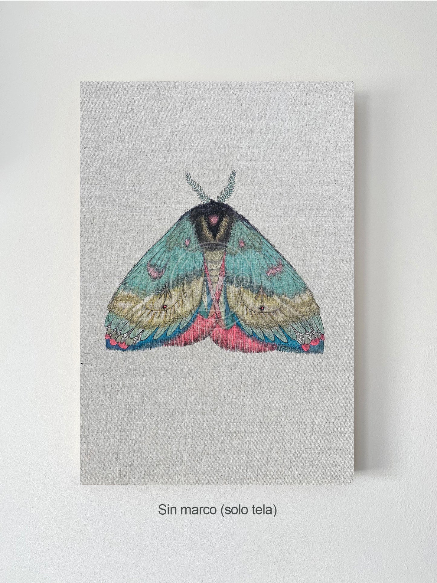ZRMoth2 PRINT