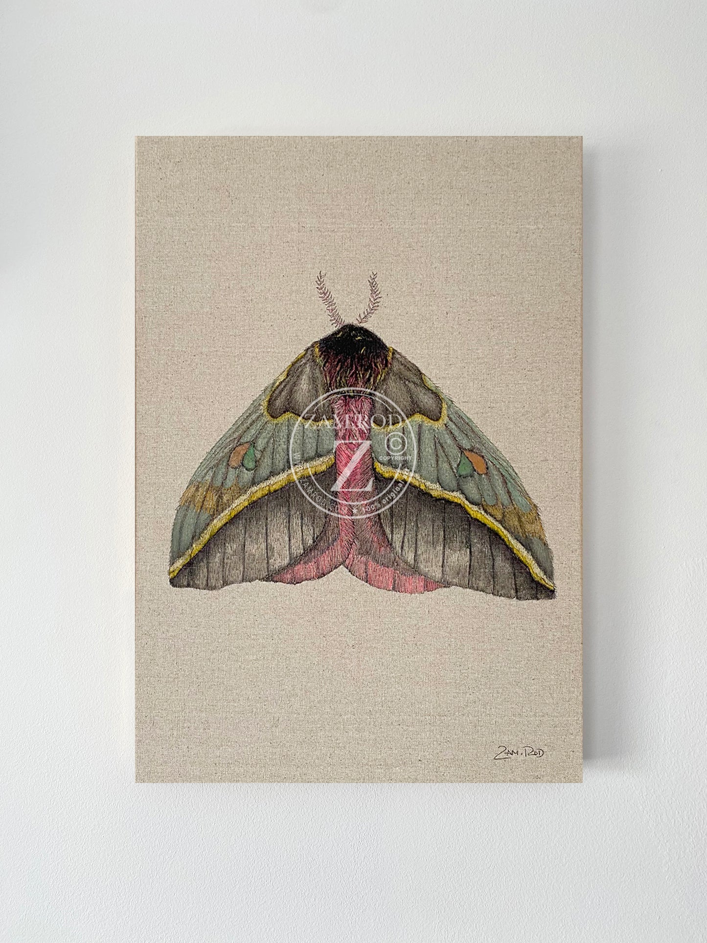 ZRMoth4 PRINT