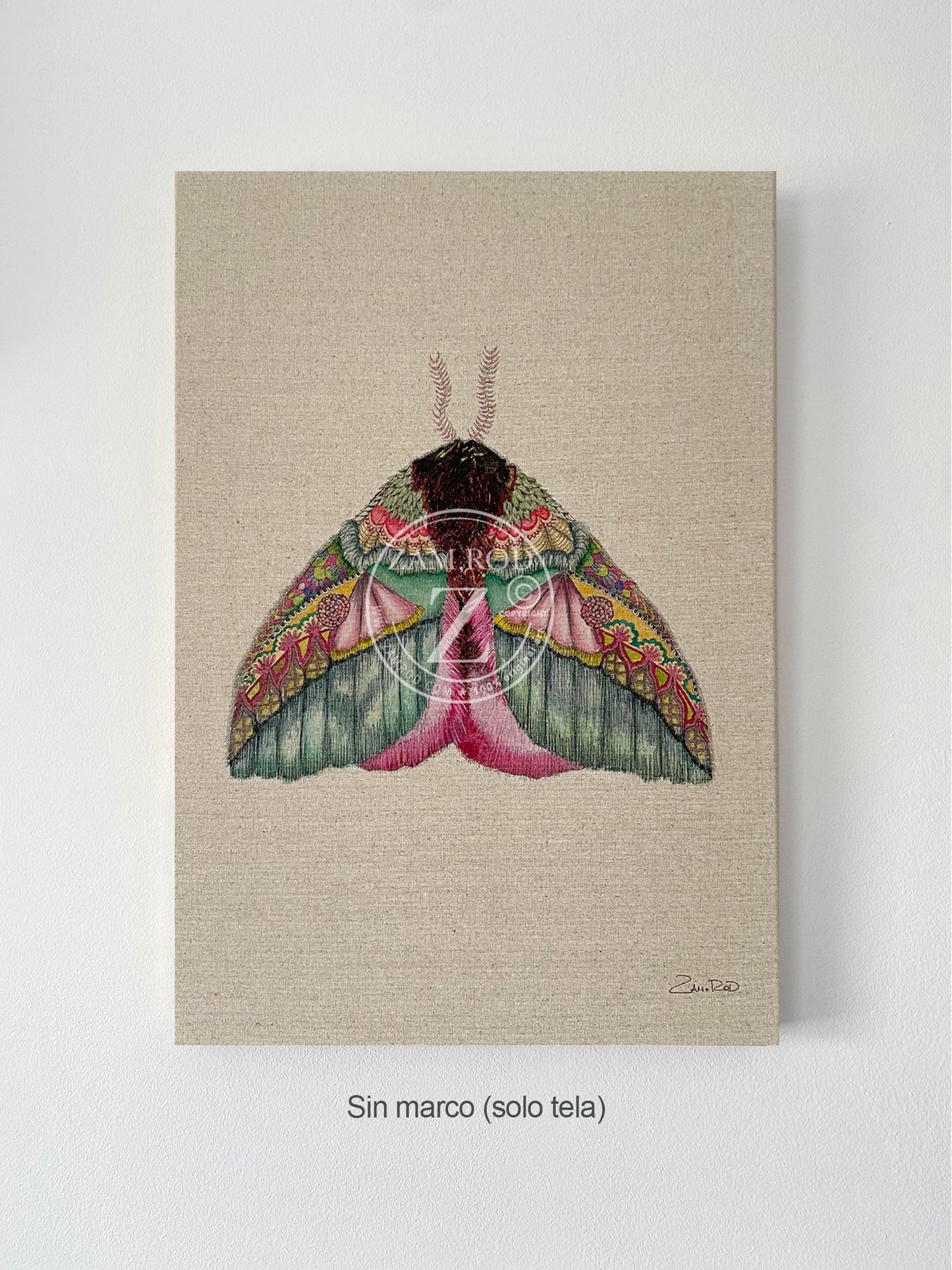 ZRMoth6 PRINT
