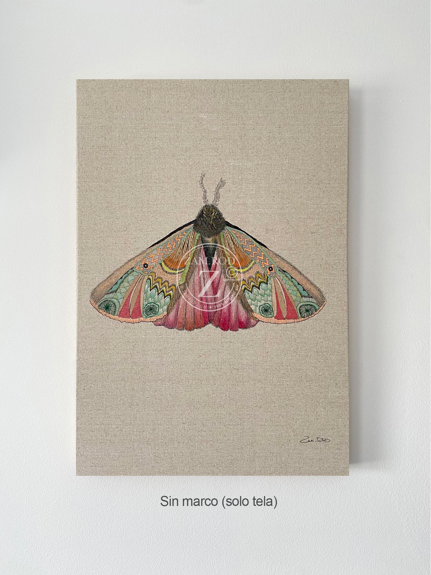 ZRMoth7 PRINT