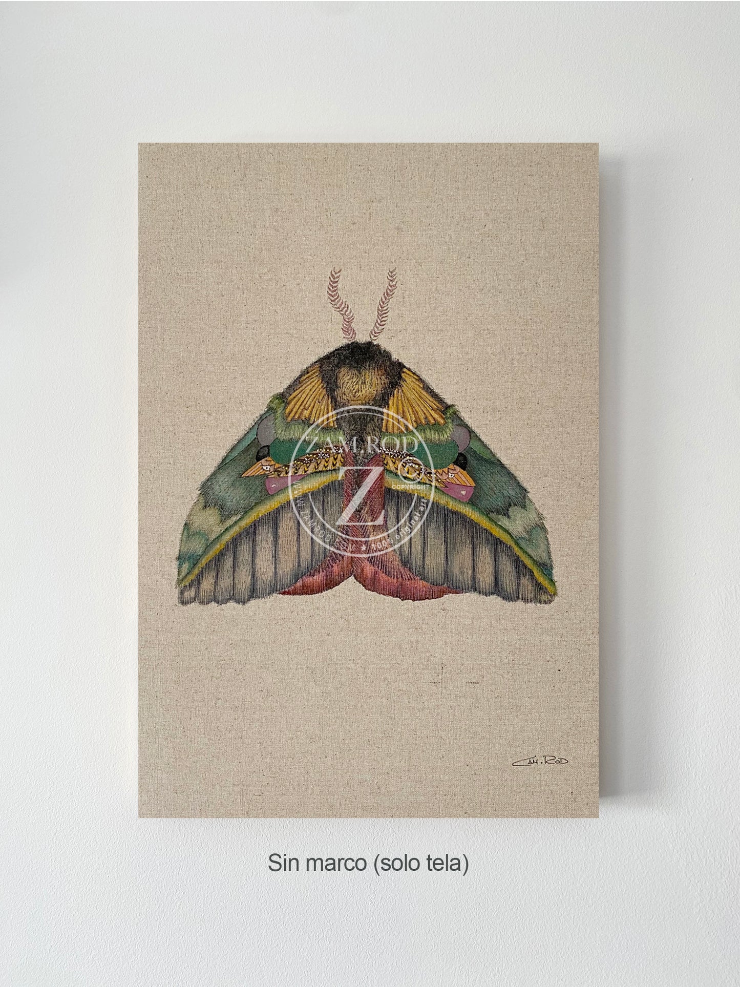 ZRMoth8 PRINT