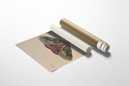 ZRMoth4 PRINT