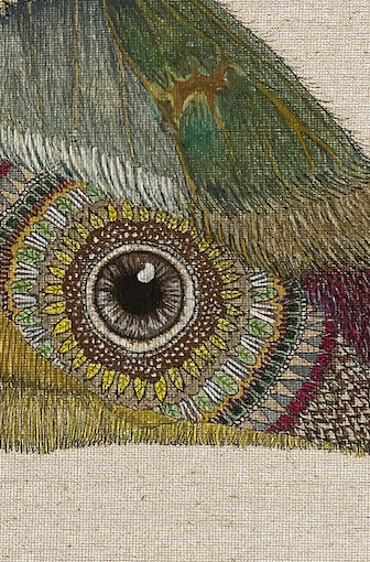 ZRMoth12 PRINT
