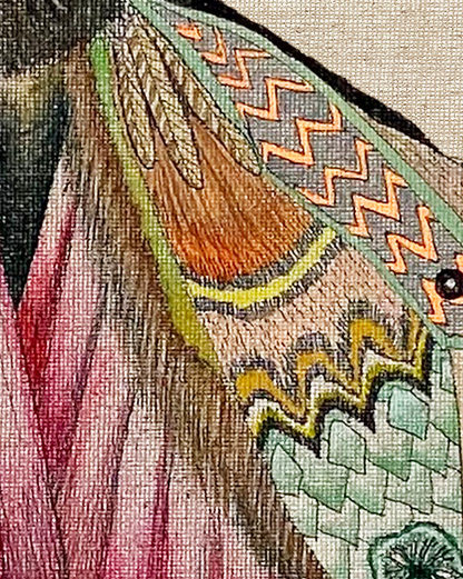 ZRMoth7 PRINT