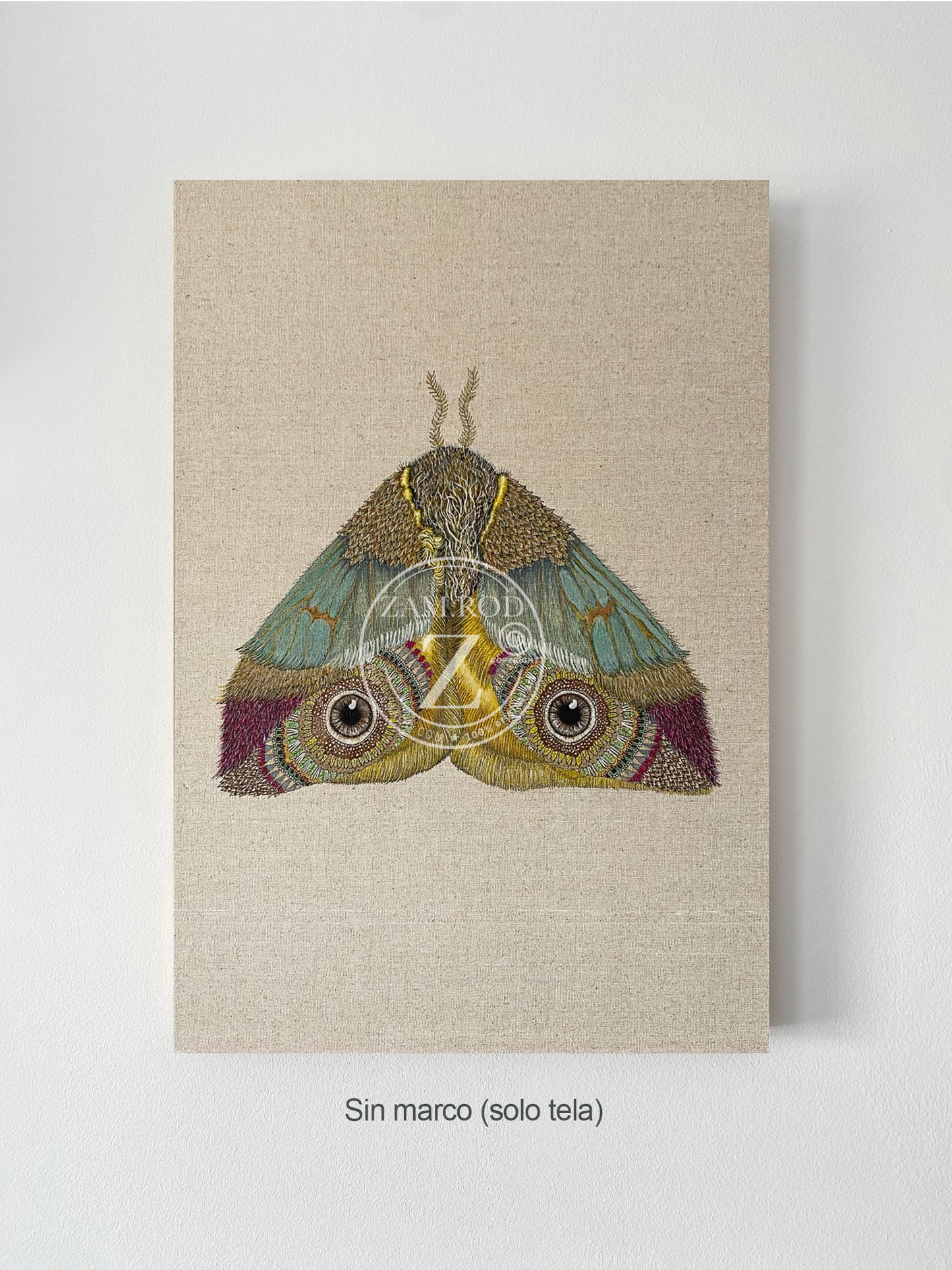 ZRMoth12 PRINT