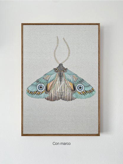 ZRMoth14 PRINT