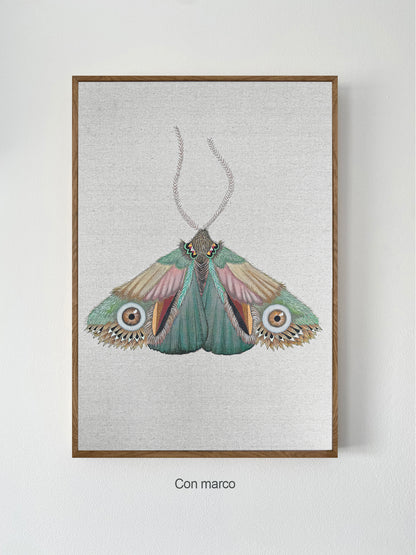 ZRMoth15 PRINT