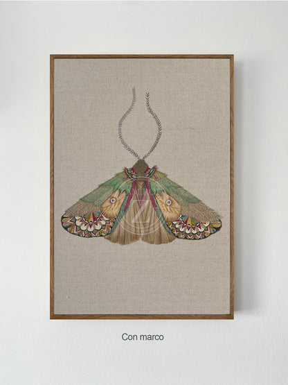 ZRMoth16 PRINT