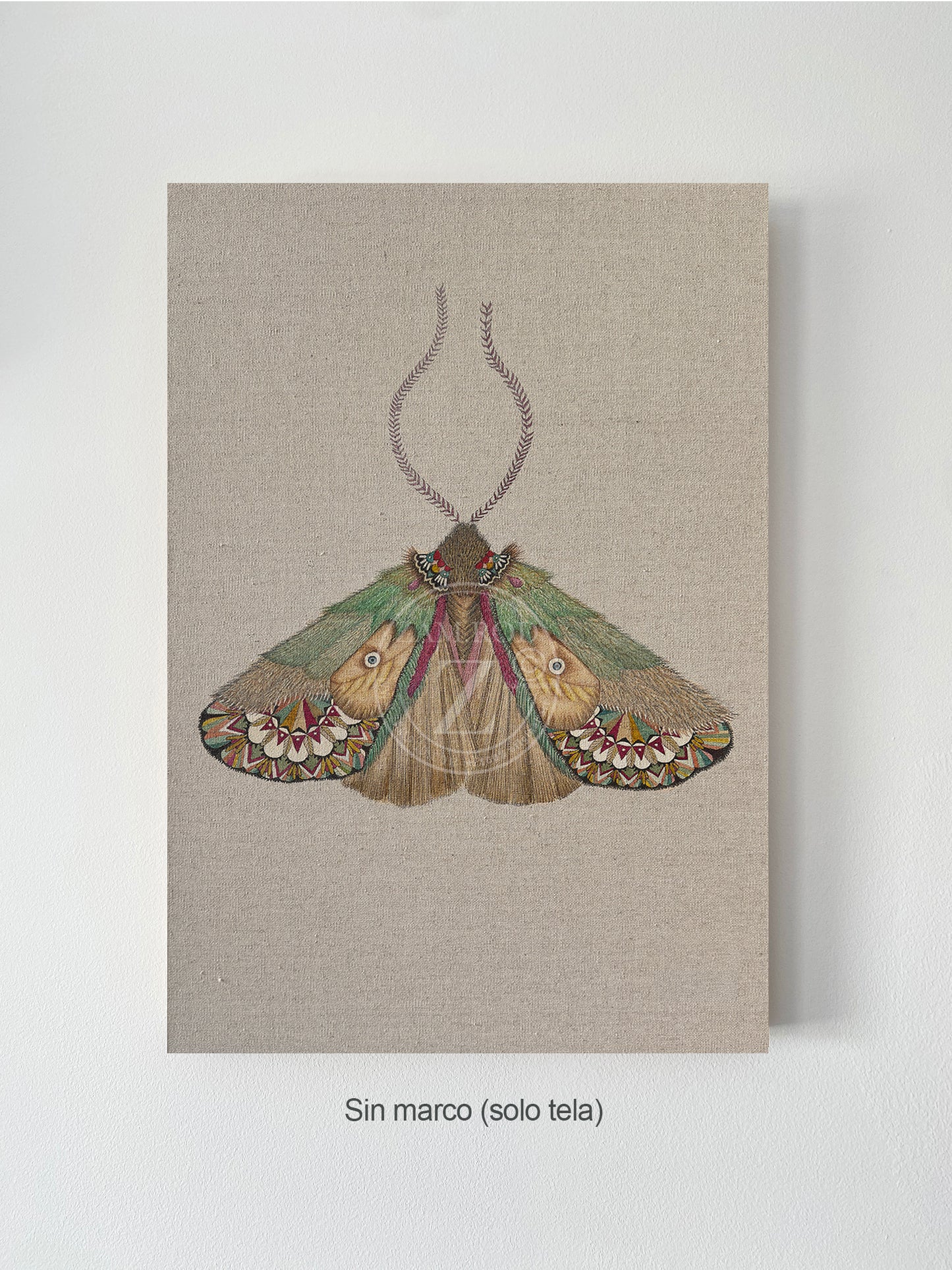 ZRMoth16 PRINT