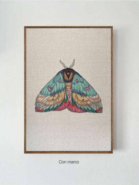 ZRMoth17 PRINT