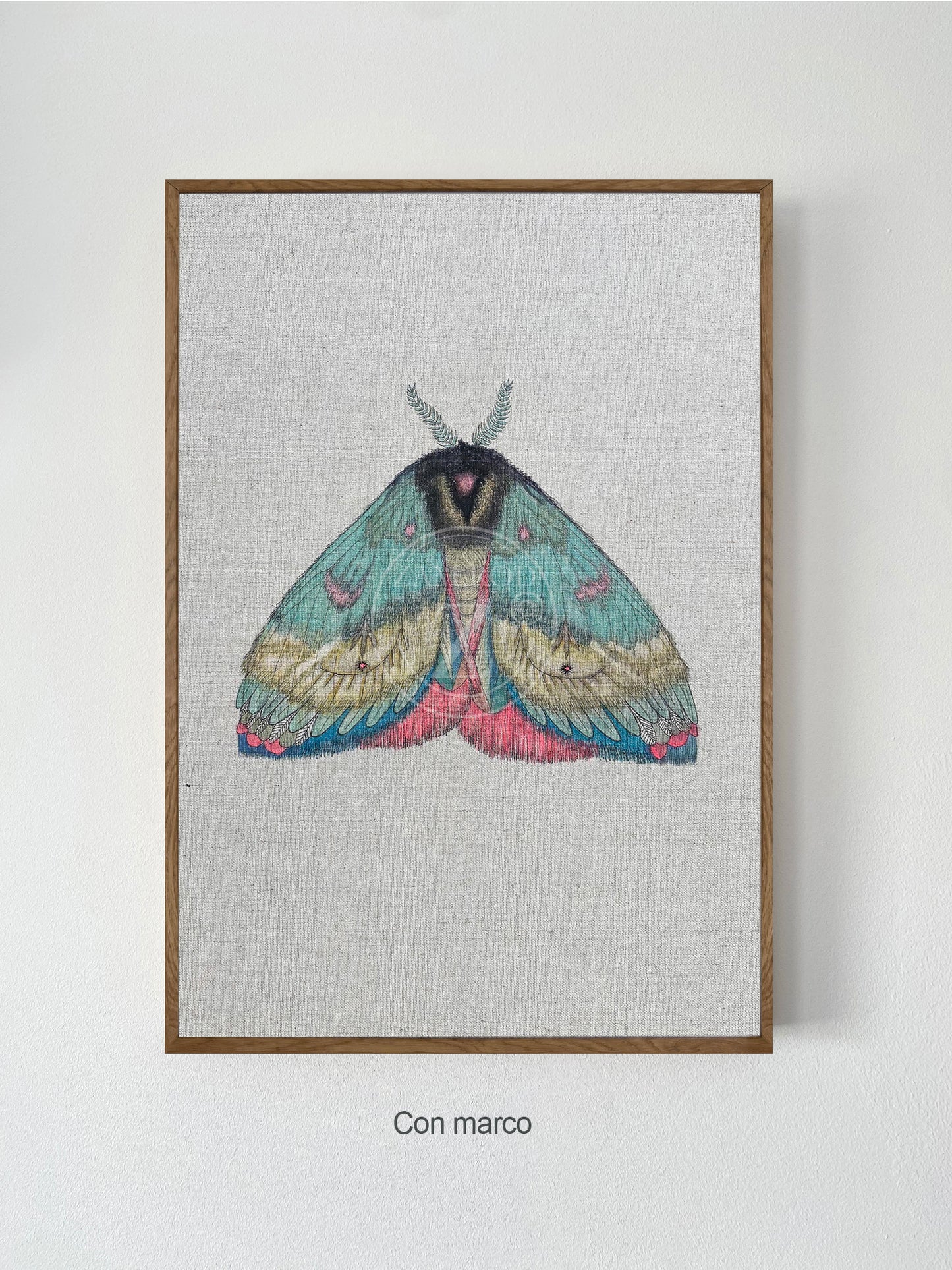 ZRMoth2 PRINT