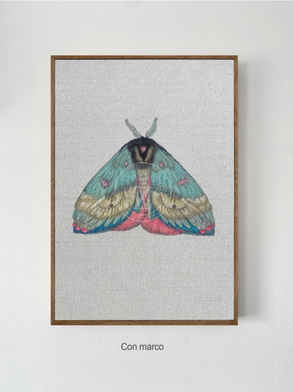 ZRMoth2 PRINT