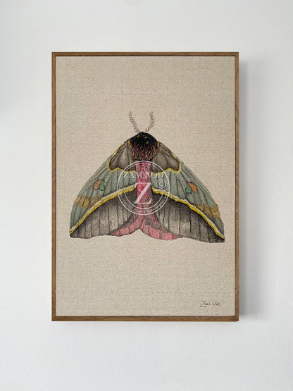 ZRMoth4 PRINT