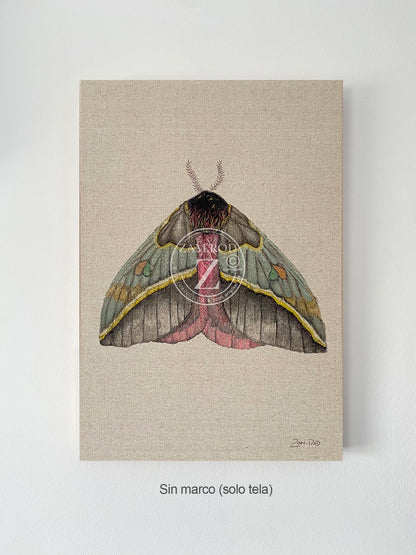 ZRMoth4 PRINT