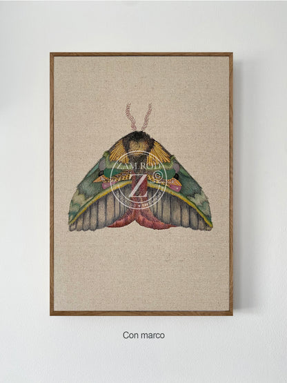 ZRMoth8 PRINT