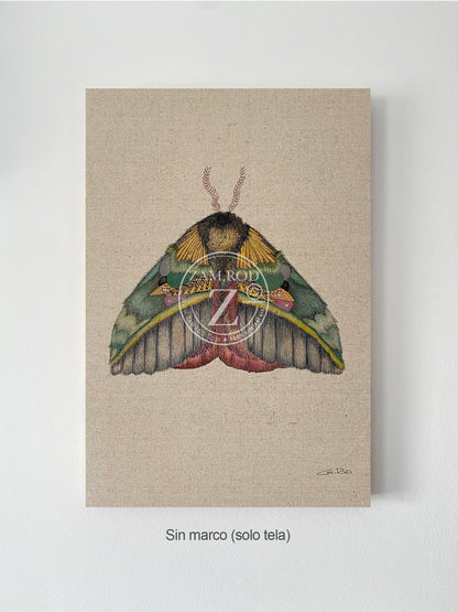ZRMoth8 PRINT