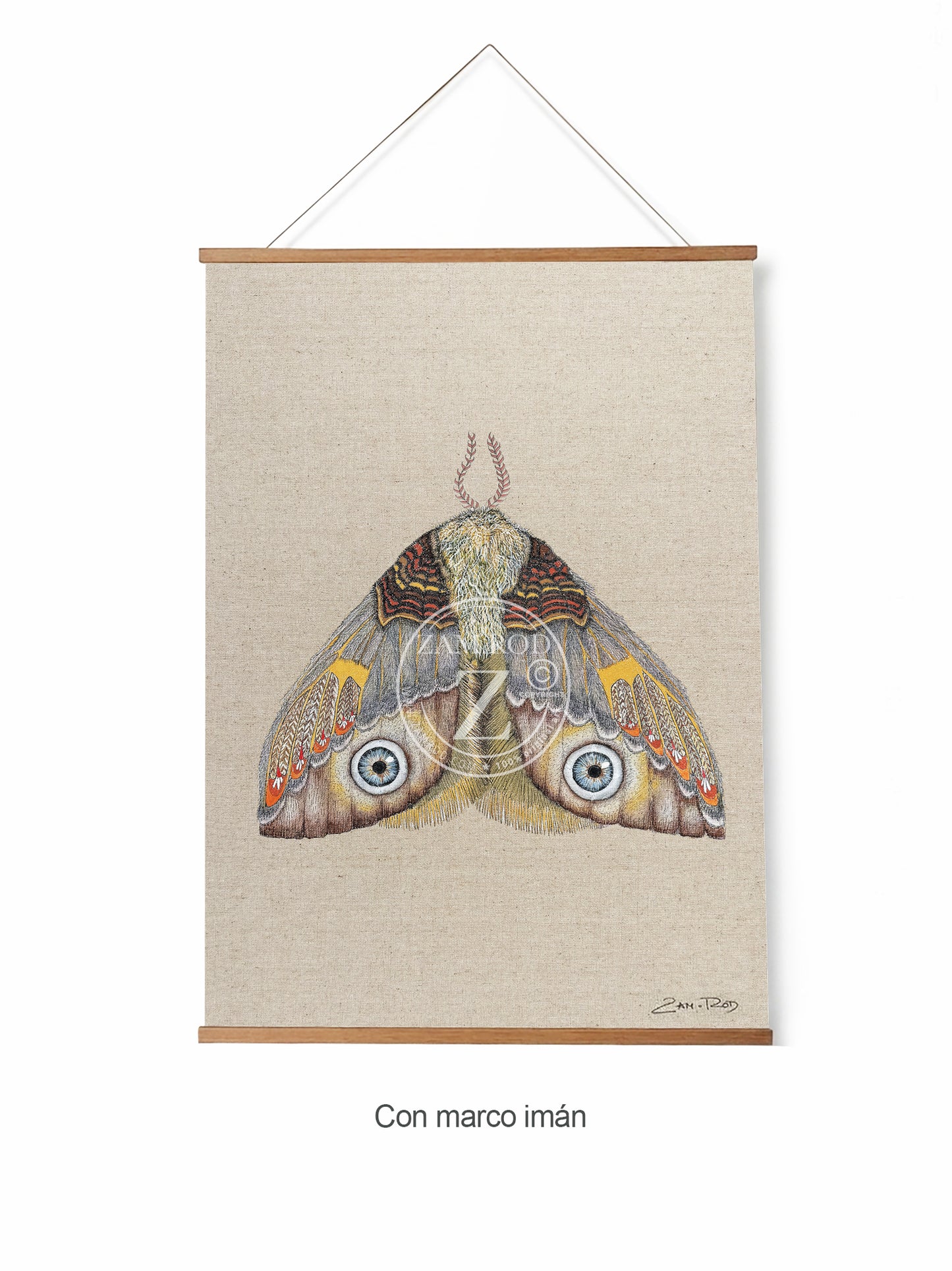 ZRMoth11 PRINT