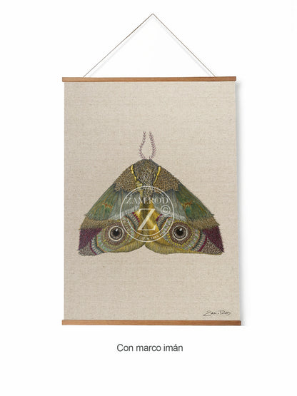 ZRMoth12 PRINT