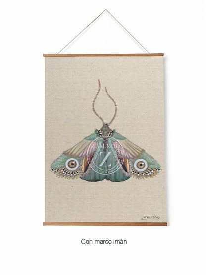 ZRMoth15 PRINT