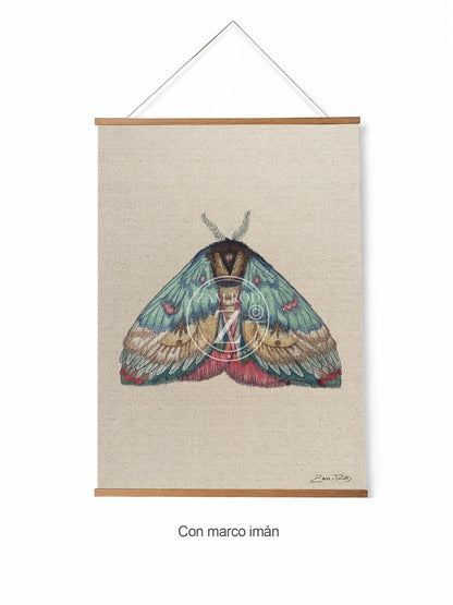 ZRMoth17 PRINT