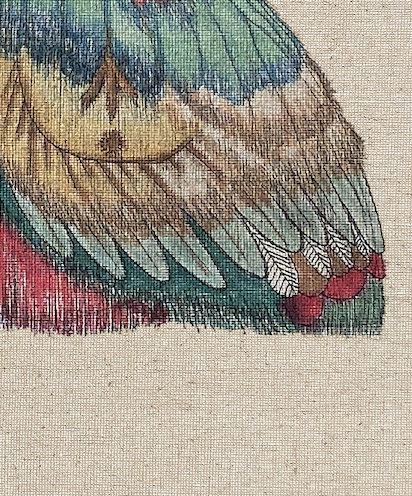 ZRMoth17 PRINT