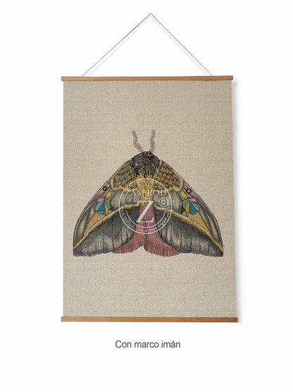 ZRMoth3 PRINT
