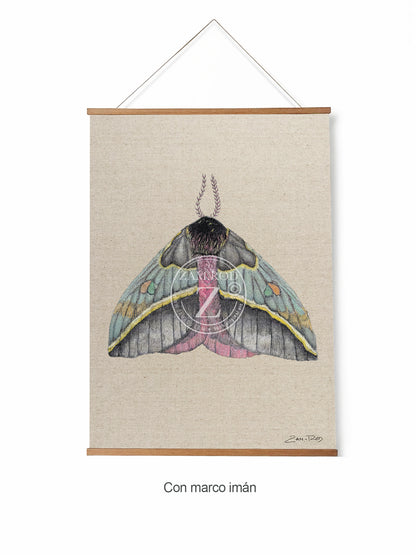 ZRMoth4 PRINT